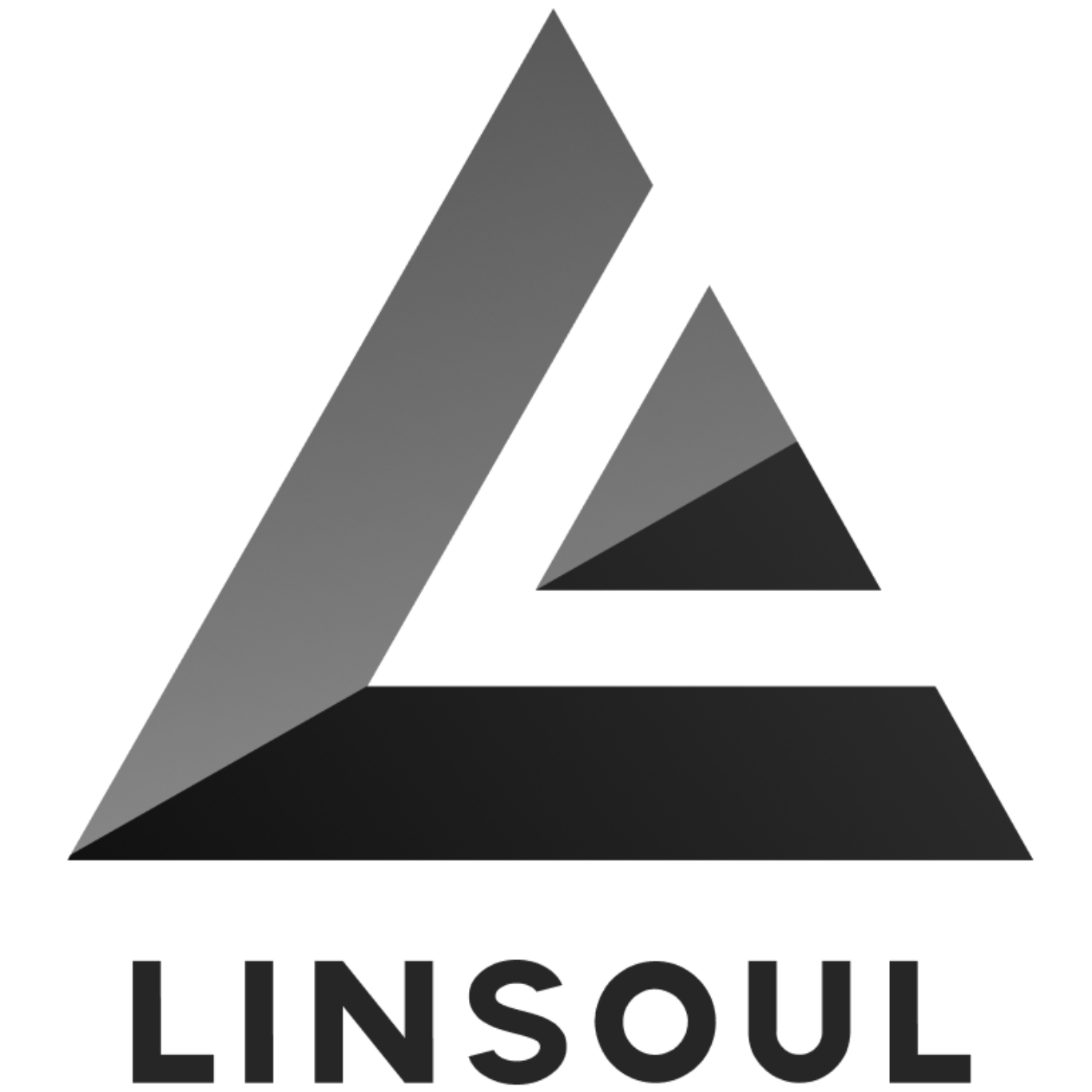 Linsoul
