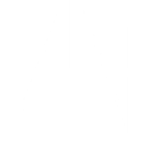 Fromashestonew