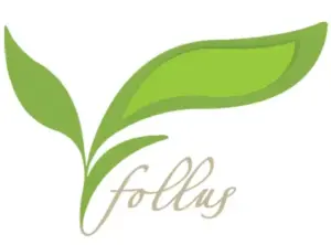 Follus