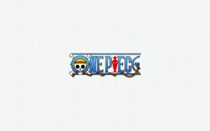 One Piece Store