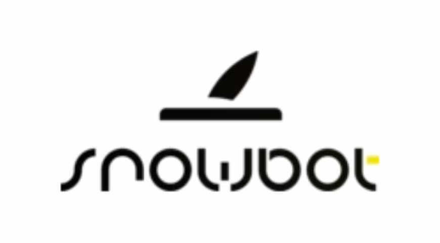 TheSnowbot