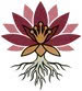 Bitterroot Coupons & Promo Codes