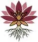Bitterroot coupon & promo code ·