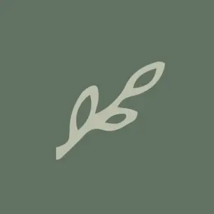 Biankina Coupons & Promo Codes