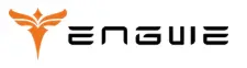 Engwe