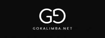 Shakala Musical Instrument Coupons & Promo Codes