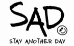 50% OFF CAR DECALS - StayAnotherDay Coupon Codes