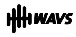WAVS Custom