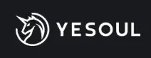 Yesoul Fitness
